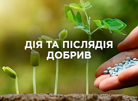 Дія та післядія добрив: вплив на ґрунт і рослини | Agro-market