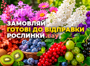 Рослини, готові до відправки