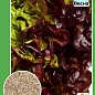Салат листовой "Американский коричневый" ТМ "Весна" 0.5г