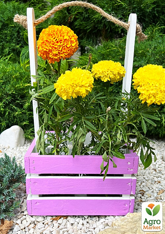 Ящик декоративный деревянный для хранения и цветов  "Джусино" д. 22см, ш. 20см, в. 13см, высота с ручкой 40см. (лиловый с деревянными ручками) - фото 5