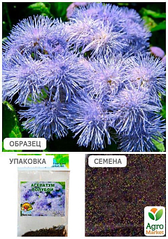 Агератум "Голубой" (Зипер) ТМ "Весна" 1г23