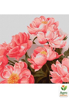 Картина по номерам - Букет розовых пионов  Идейка KHO32122