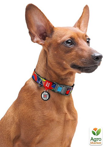 Нашийник для собак нейлоновий WAUDOG Nylon з QR паспортом, малюнок "Вітраж", пластиковий фастекс, Ш 25 мм, Дов 33-49 см (4580) - фото 3
