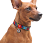 Нашийник для собак нейлоновий WAUDOG Nylon з QR паспортом, малюнок "Вітраж", пластиковий фастекс, Ш 25 мм, Дов 33-49 см (4580) цена