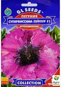 Петунія "Супербіссіма пурпур F1" ТМ "GL SEEDS" 10шт2