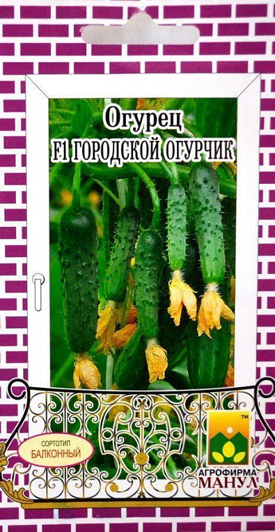 Огірок "Міський огірочок F1" ТМ "Манул" 12шт
