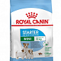 Royal Canin Mini Starter Mother & Babydog Сухой корм для щенков 1 кг (7786570)