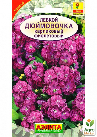 Левкой карликовый фиолетовый "Дюймовочка" ТМ "Аэлита" 0.1г NEW