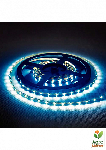 Світлодіодна стрічка LS603 / SANAN LED-RL 60SMD / m 4.8W / m 12V 5m синій (27673) - фото 2