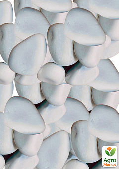 Декоративные камни Галька белая "Доломит" фракция 60-100 мм 5 кг2