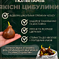 Тюльпан "Marshmallow"  цена