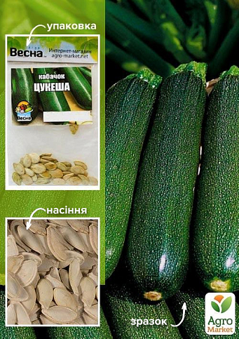 Кабачок "Цукеша" (Зипер) ТМ "Весна" 5г