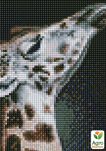 Алмазна мозаїка - Елегантна пара Ідейка AMO7533 - фото 2
