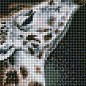 Алмазна мозаїка - Елегантна пара Ідейка AMO7533 купить