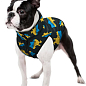 Курточка для собак WAUDOG Clothes рисунок "Дом", S40, В 52-54 см, С 33-38 см (5738-0230) купить