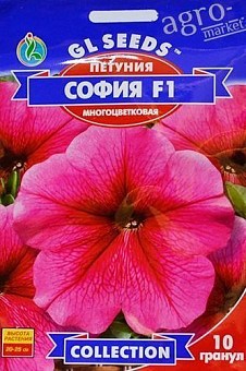 Петунія "Софія F1" ТМ "GL SEEDS" 10шт2