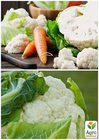 На развес Капуста цветная "Снежный гигант" ТМ "Весна" цена за 1,5г - фото 3