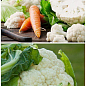 На развес Капуста цветная "Снежный гигант" ТМ "Весна" цена за 1,5г цена