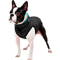 Курточка для собак AiryVest двостороння, розмір S 35, чорно-блакитна (1605)  купить