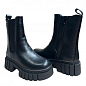 Жіночі чоботи зимові Dino Albat DSOМ8226-1 38 24,5см Чорні купить