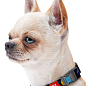 Нашийник для собак нейлоновий WAUDOG Nylon з QR паспортом, малюнок "NASA", пластиковий фастекс, Ш 15 мм, Довжина 25-35 см (4738) купить