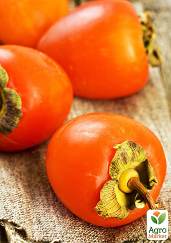 Хурма на віргінській морозостійкій підщепі  "Волове серце" вищий сорт!