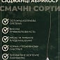 Абрикос "Богатырь" (летний сорт, средний срок созревания) купить