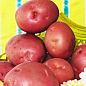 Семенной ранний картофель "Лаура" (на пюре, 1 репродукция) 3кг NEW