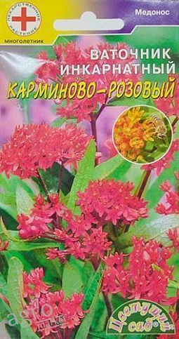 Ваточник инкарнатный "Карминово-розовый" ТМ "Цветущий сад" 0.05г