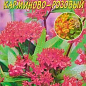 Ваточник инкарнатный "Карминово-розовый" ТМ "Цветущий сад" 0.05г