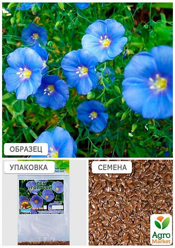 Льон блакитний (Зипер) ТМ "Весна" 3г - фото 3