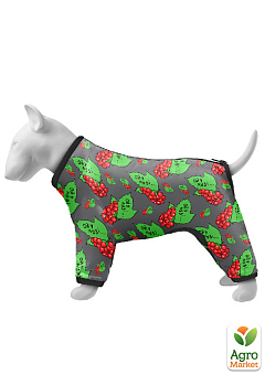 Ветровка для собак WAUDOG Clothes, рисунок "Калина", S40, В 56-59 см, С 37-40 см (5340-0228)1