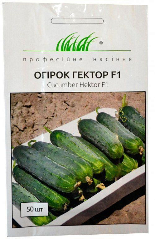 Огірок "Гектор F1" ТМ "Hem Zaden" 50шт