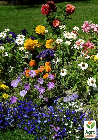 Комплект цветов в зиппере "Цветочный праздник" 15уп