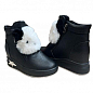 Женские ботинки зимние DSOHJ8553-1 38 24см Черные