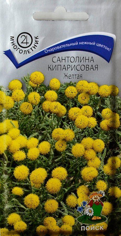 Сантоліна "Кипарисовая Жовта" ТМ "Пошук" 0.02г
