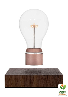 Лампа левитирующая Flyte Buckminster (01-BUC-MUL-V3-0)1