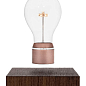 Лампа левітуюча Flyte Buckminster (01-BUC-MUL-V3-0)