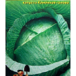 Капуста "Кам'яна голова" (Великий пакет) ТМ "Весна" 2,5г купить