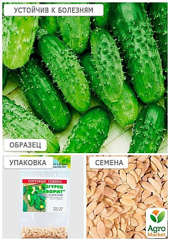 Огірок "Фаворит" (Зипер) ТМ "Весна" 1.5г5