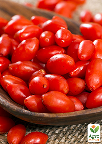 Эксклюзив! Годжи алого ярко-красного цвета "Магия любви" (Magic of love) (премиальный, неприхотливый, сорт со стабильным урожаем)