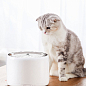 Поилка PETKIT Electric Pet Cat/Dog EVERSWEET 3 (658617) купить