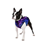 Курточка для собак WAUDOG Clothes рисунок "NASA21", XS30, В 43-45 см, С 30-33 см (0930-0148) цена