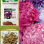 Астра "Хризантемовидная" (Зипер) ТМ "Весна" 0,5г