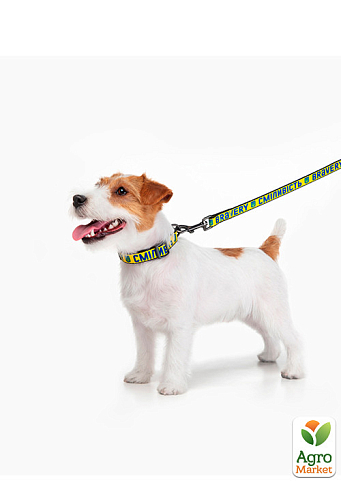 Поводок для собак нейлоновый WAUDOG Nylon, рисунок "Смелость", S, Ш 15 мм, Дл 122 cм (4915-0231) - фото 2