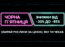 Чорна П’ятниця