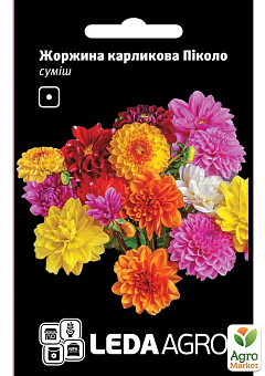 Георгина карликовая "Пикколо" ТМ "Leda Agro" 0,2г1