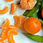 Эксклюзив! Мандарин оранжевый "Мандариновый рай" (Mandarin paradise) (премиальный супер сочный сорт)