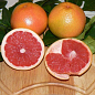 Грейпфрут "Красный рубин" (саженец 2 года) цена
