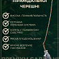 Черешня пирамидальная розовая купить